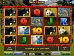 Bear Tracks Slots